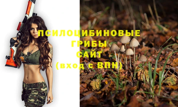 экстази Бородино