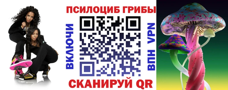 Купить  Обь  Псилоцибиновые грибы Cubensis 